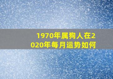 1970年属狗人在2020年每月运势如何