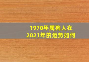 1970年属狗人在2021年的运势如何