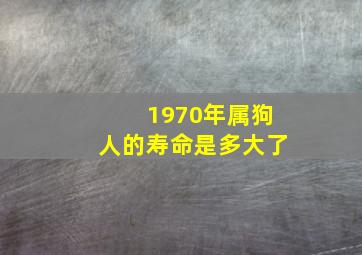 1970年属狗人的寿命是多大了