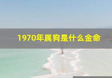 1970年属狗是什么金命