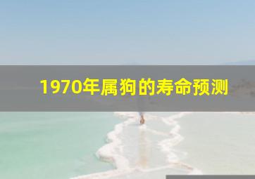 1970年属狗的寿命预测