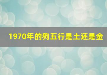 1970年的狗五行是土还是金