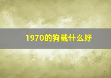 1970的狗戴什么好