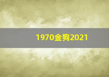 1970金狗2021