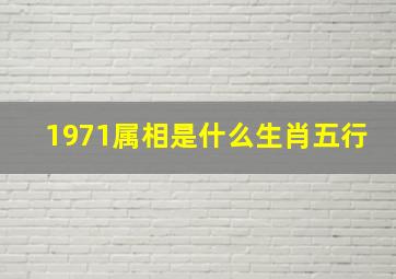 1971属相是什么生肖五行