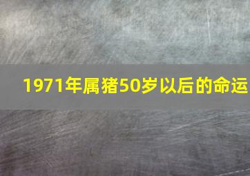 1971年属猪50岁以后的命运