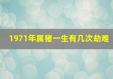 1971年属猪一生有几次劫难