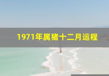 1971年属猪十二月运程