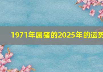 1971年属猪的2025年的运势