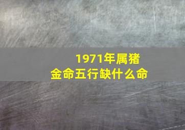 1971年属猪金命五行缺什么命