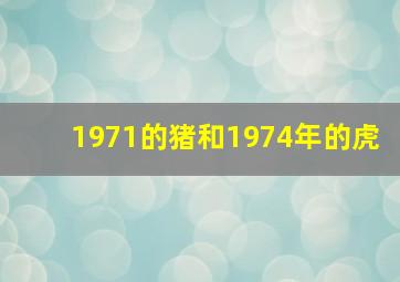 1971的猪和1974年的虎