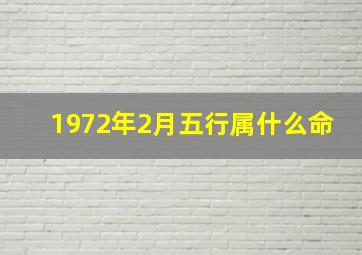 1972年2月五行属什么命