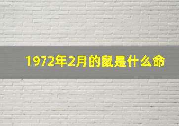 1972年2月的鼠是什么命