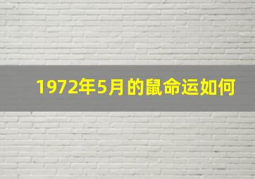 1972年5月的鼠命运如何