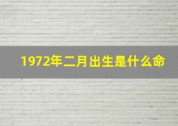 1972年二月出生是什么命