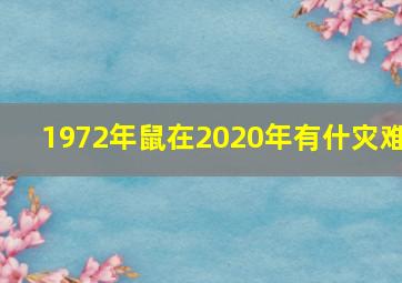 1972年鼠在2020年有什灾难