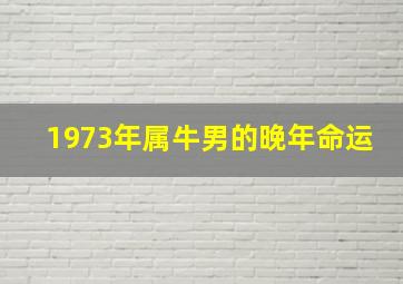 1973年属牛男的晚年命运