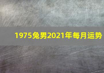 1975兔男2021年每月运势