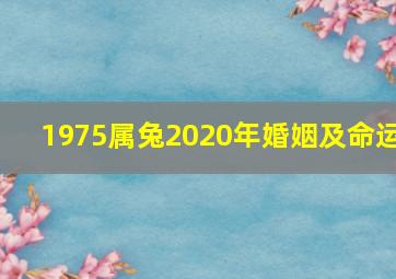 1975属兔2020年婚姻及命运