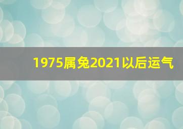 1975属兔2021以后运气