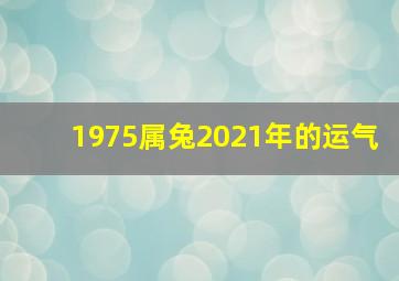 1975属兔2021年的运气