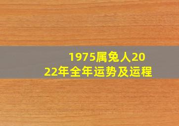 1975属兔人2022年全年运势及运程