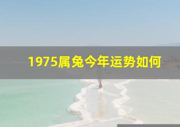 1975属兔今年运势如何