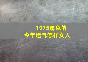 1975属兔的今年运气怎样女人