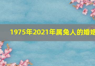 1975年2021年属兔人的婚姻