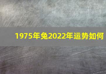 1975年兔2022年运势如何