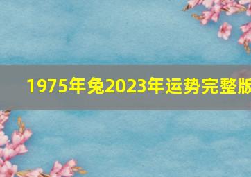 1975年兔2023年运势完整版