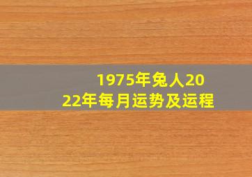 1975年兔人2022年每月运势及运程