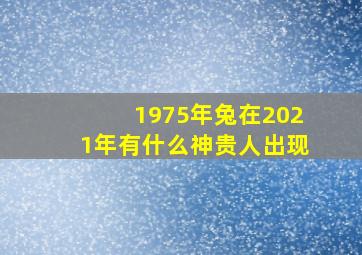 1975年兔在2021年有什么神贵人出现