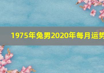 1975年兔男2020年每月运势