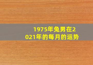 1975年兔男在2021年的每月的运势