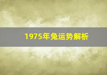 1975年兔运势解析