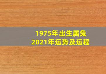 1975年出生属兔2021年运势及运程