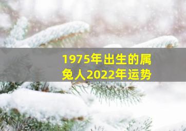 1975年出生的属兔人2022年运势