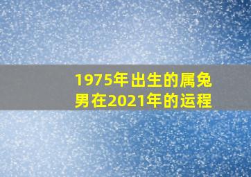 1975年出生的属兔男在2021年的运程