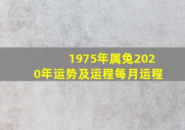 1975年属兔2020年运势及运程每月运程