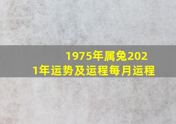 1975年属兔2021年运势及运程每月运程