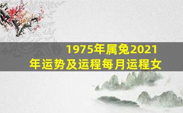 1975年属兔2021年运势及运程每月运程女