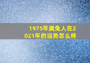 1975年属兔人在2021年的运势怎么样