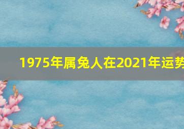 1975年属兔人在2021年运势