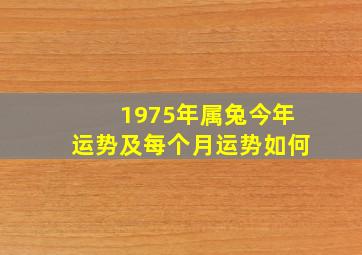 1975年属兔今年运势及每个月运势如何