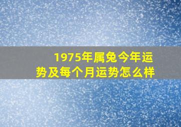 1975年属兔今年运势及每个月运势怎么样