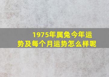 1975年属兔今年运势及每个月运势怎么样呢