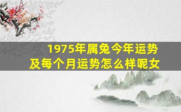 1975年属兔今年运势及每个月运势怎么样呢女