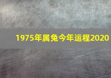 1975年属兔今年运程2020