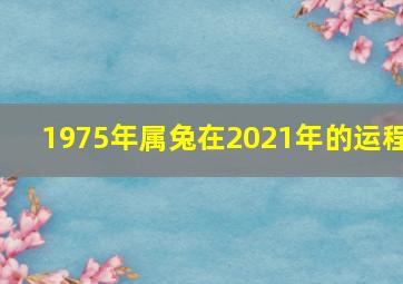 1975年属兔在2021年的运程